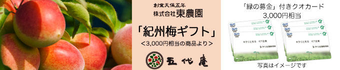 gift_title1